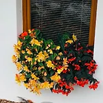 Apartman Hirschlehaus Baerental *
