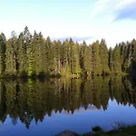 Hirschlehaus Baerental Apartman *