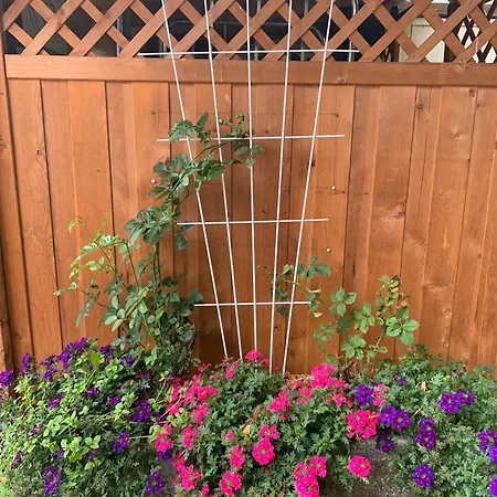 Appartamento Hirschlehaus Baerental