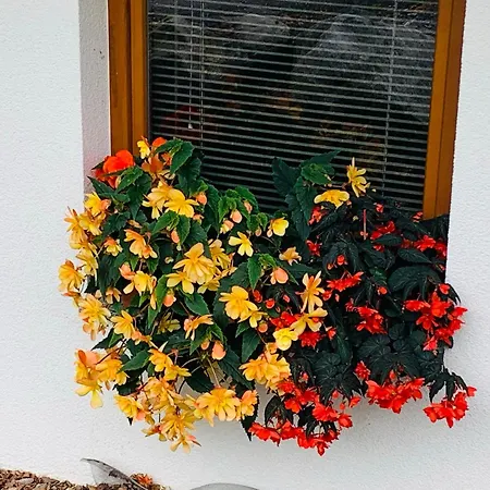 Appartamento Hirschlehaus Baerental *