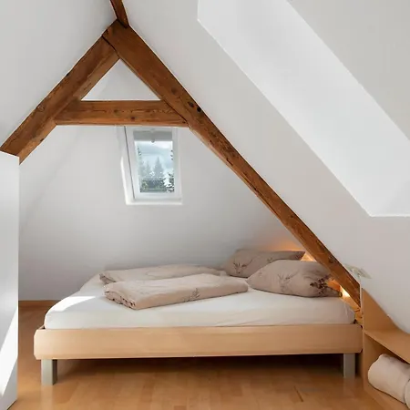 Hirschlehaus Baerental Appartamento Hinterzarten