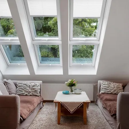 Hirschlehaus Baerental Appartamento Hinterzarten