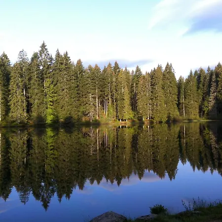 Hirschlehaus Baerental Apartman Hinterzarten